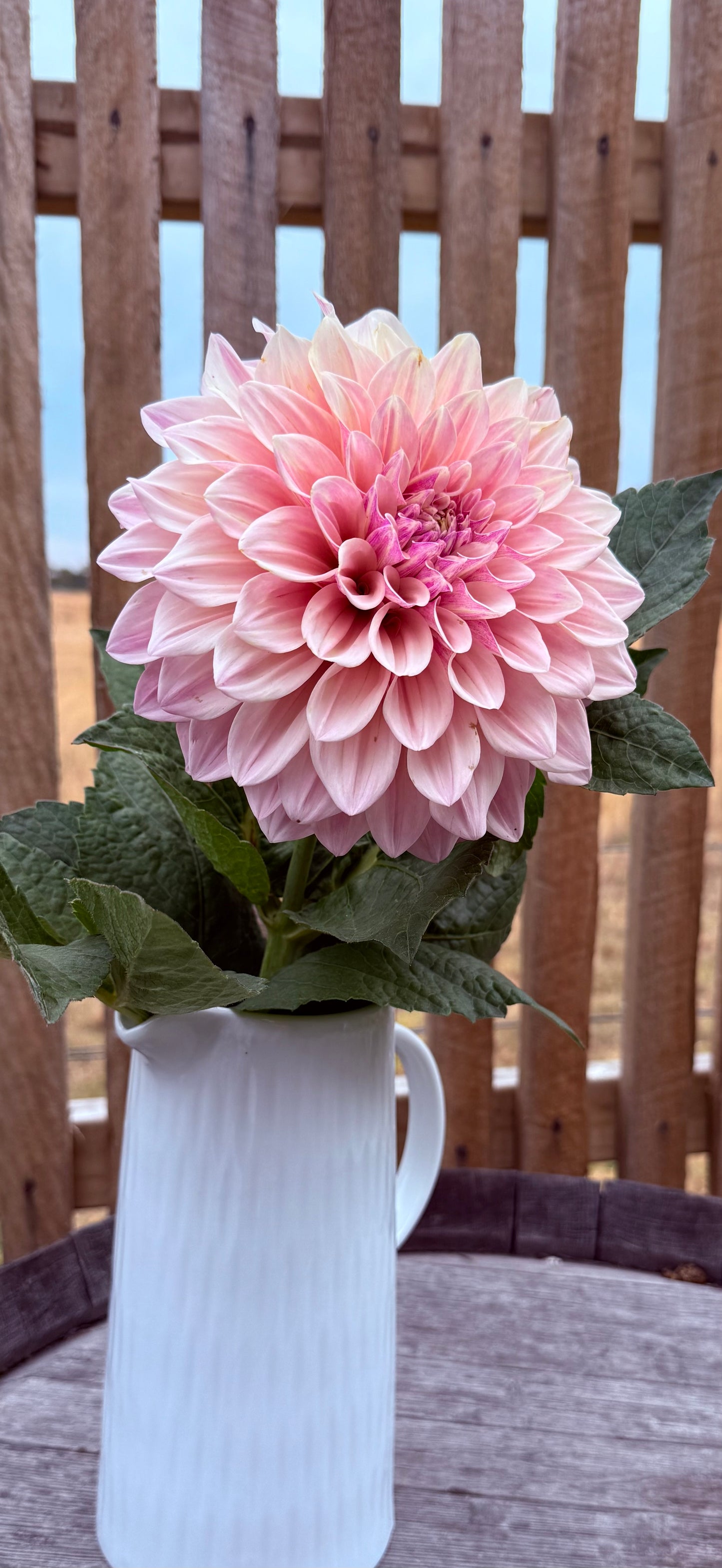 Florelie Antique
