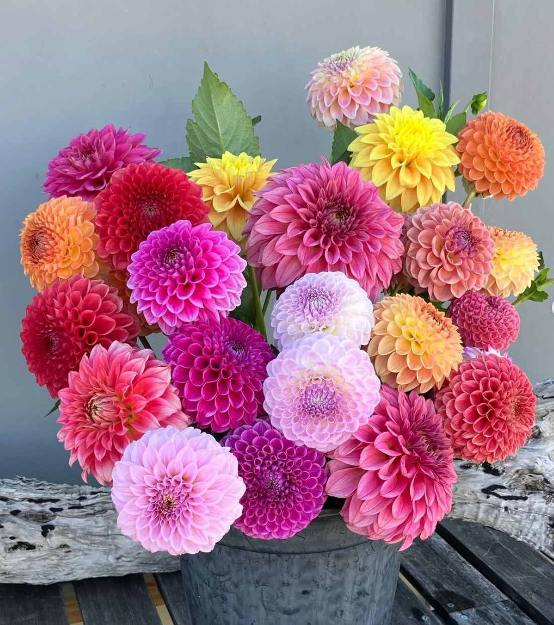 Bloom Buckets