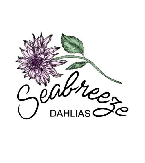 Florelie Watercolour