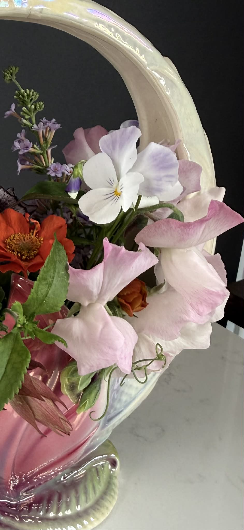 Sweet pea - High Society