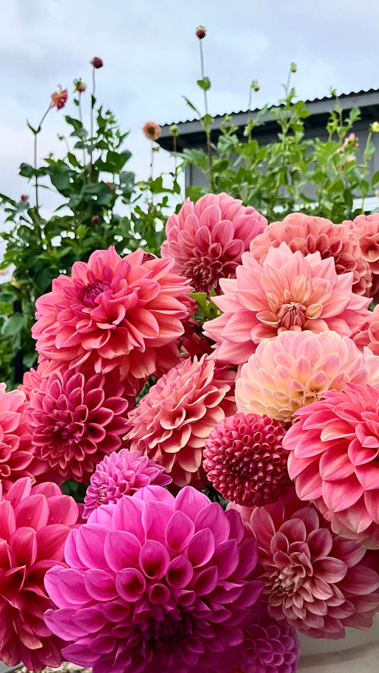 DIY bloom bucket