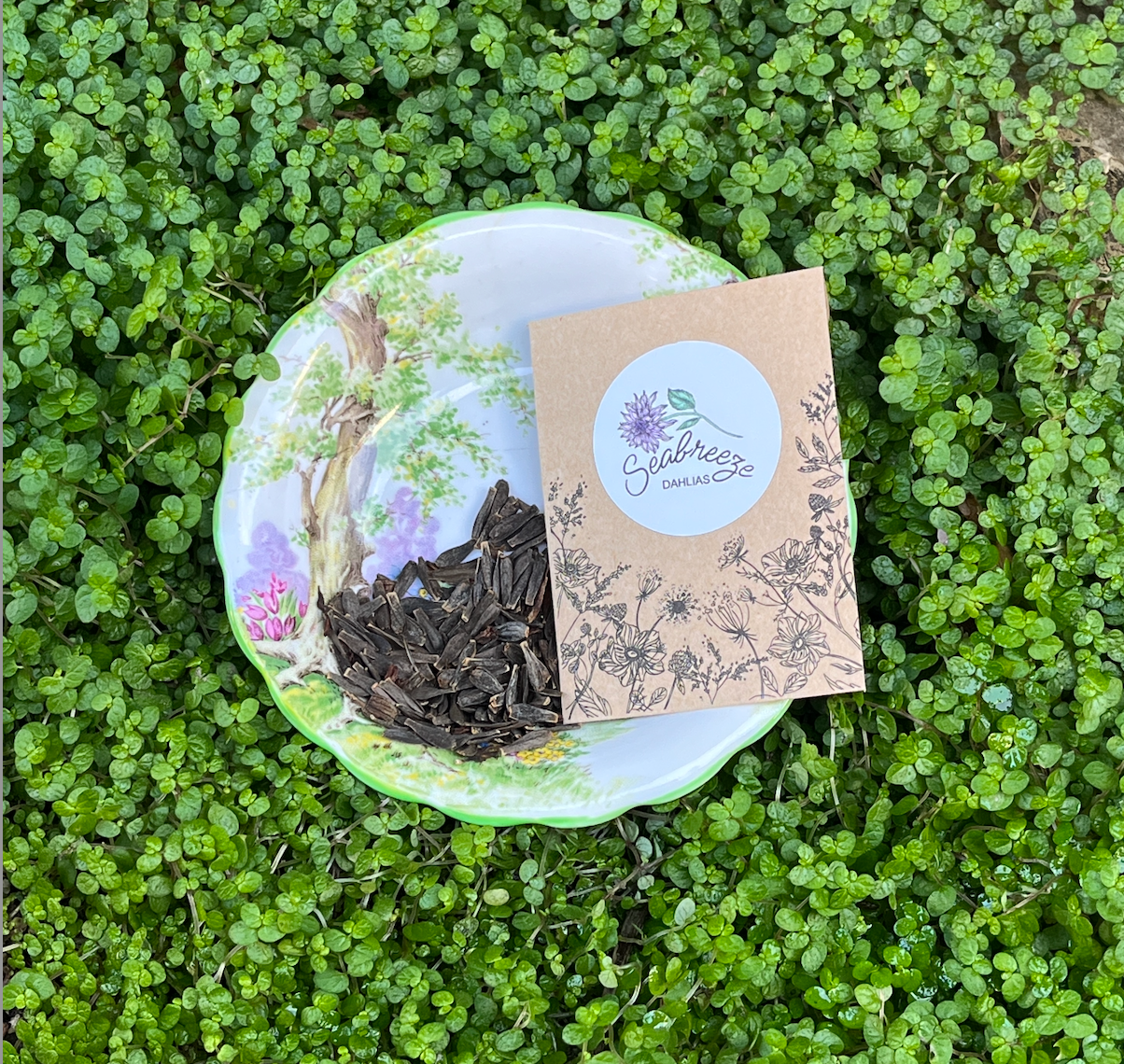 Seed packs - Individual variety available
